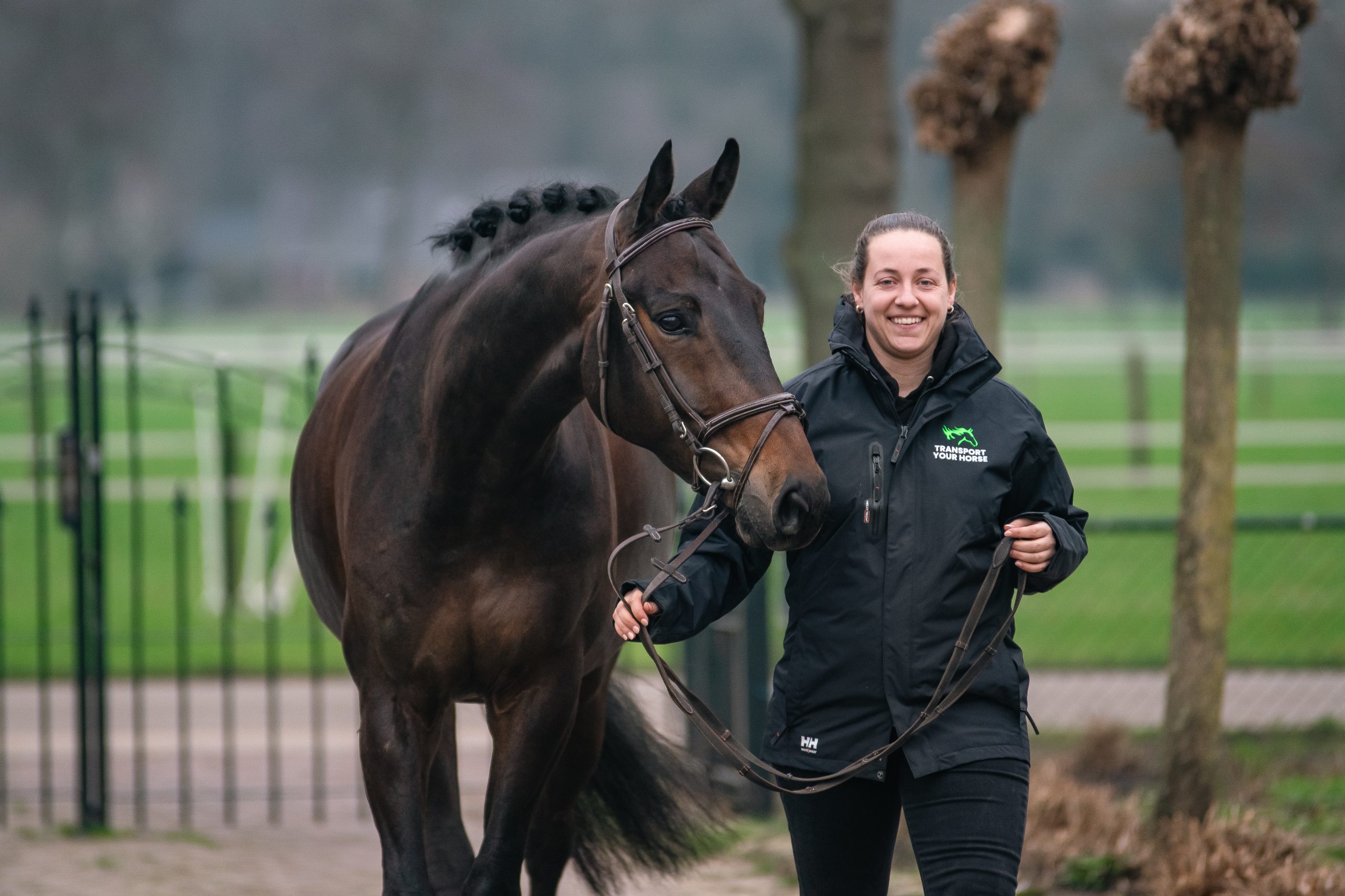 Horse transportation in Europe