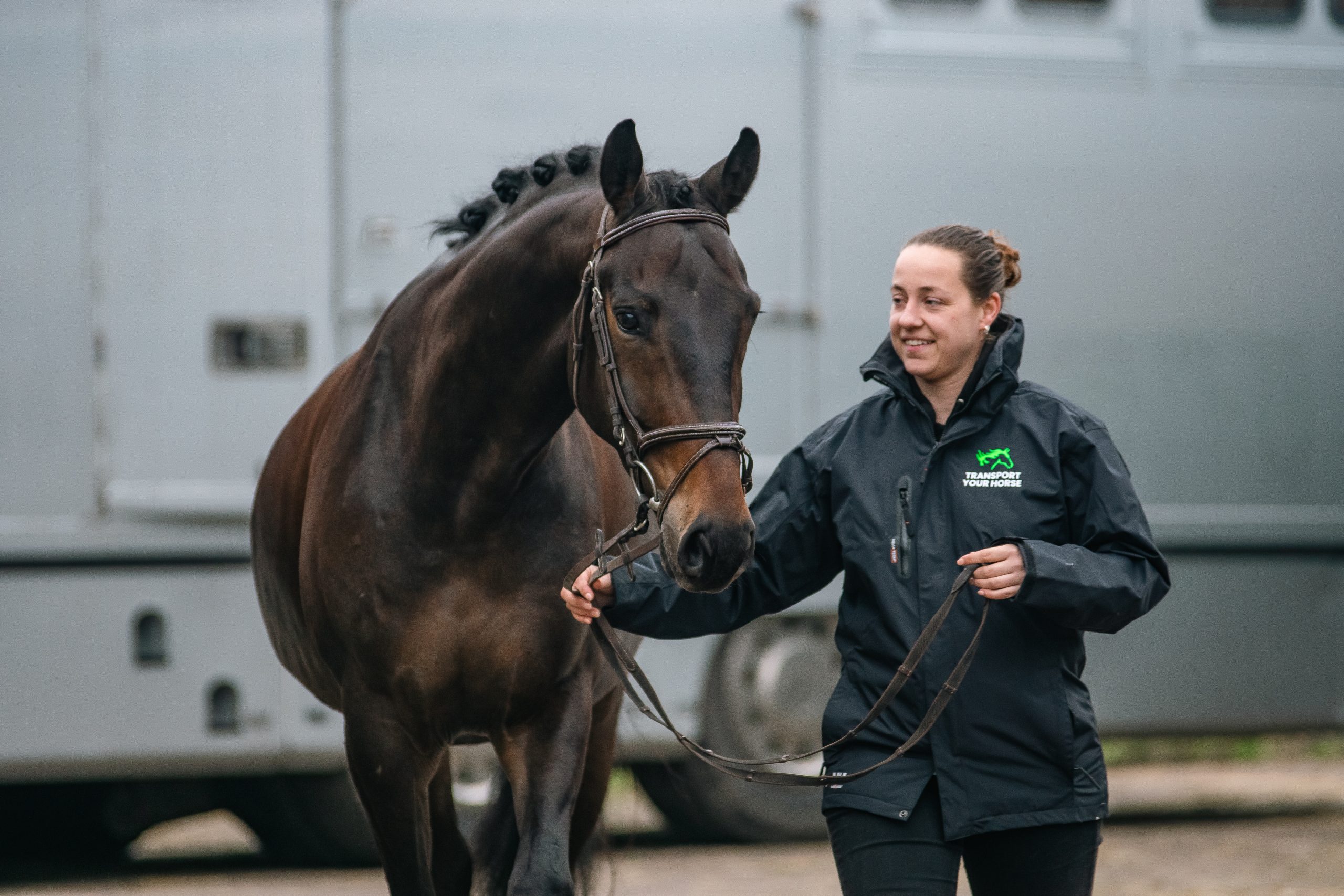 Horse transportation in Europe with care. Your horse's well-being is paramount