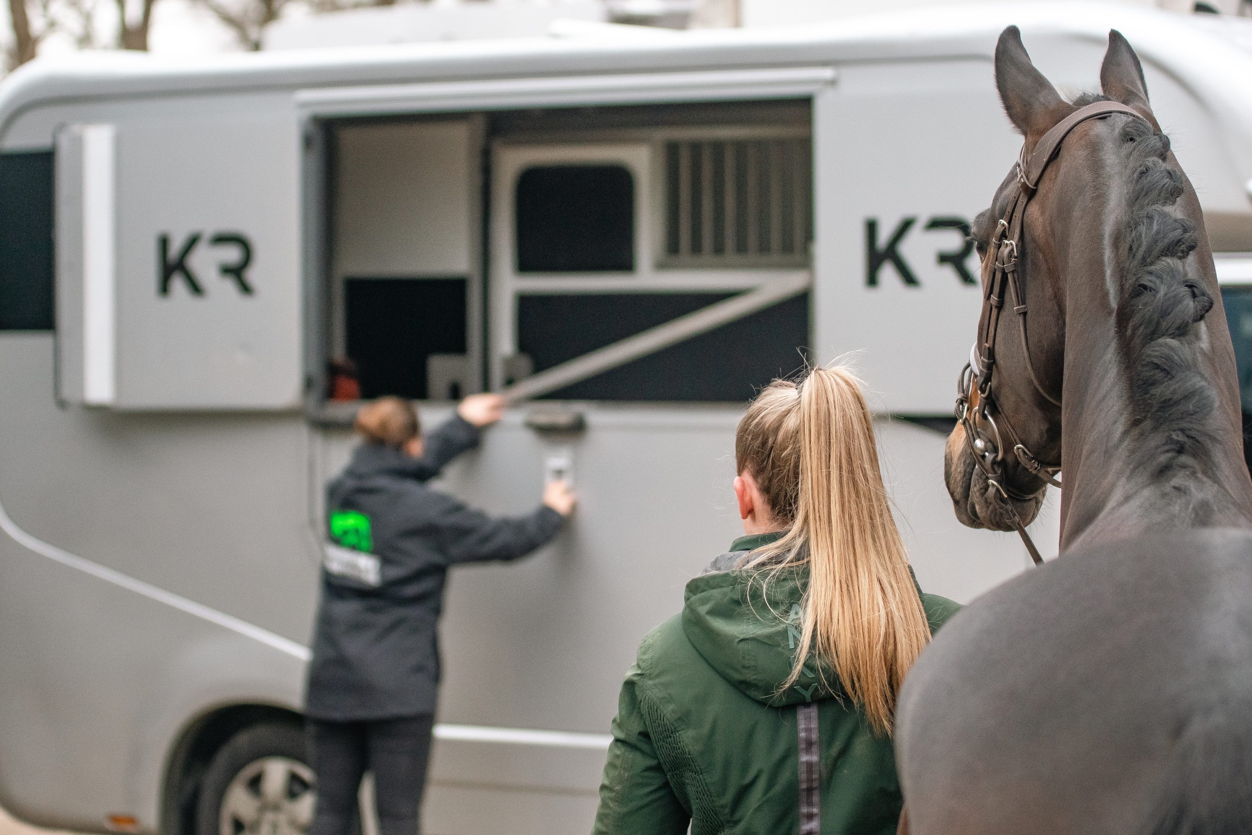 Transporte de caballos en Europa con cuidado. El bienestar de tu caballo es primordial