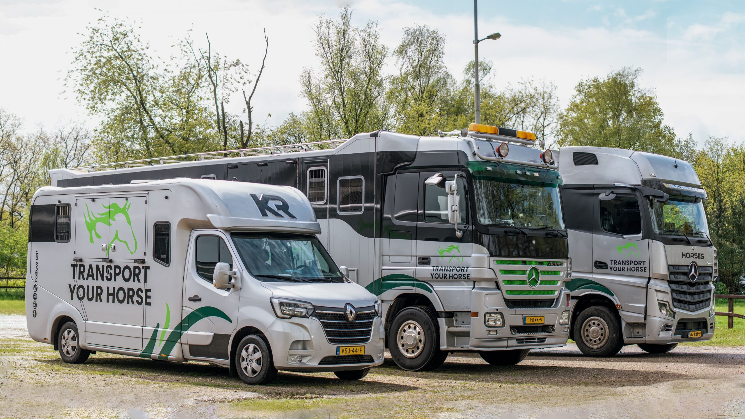 internationaal paardentransport