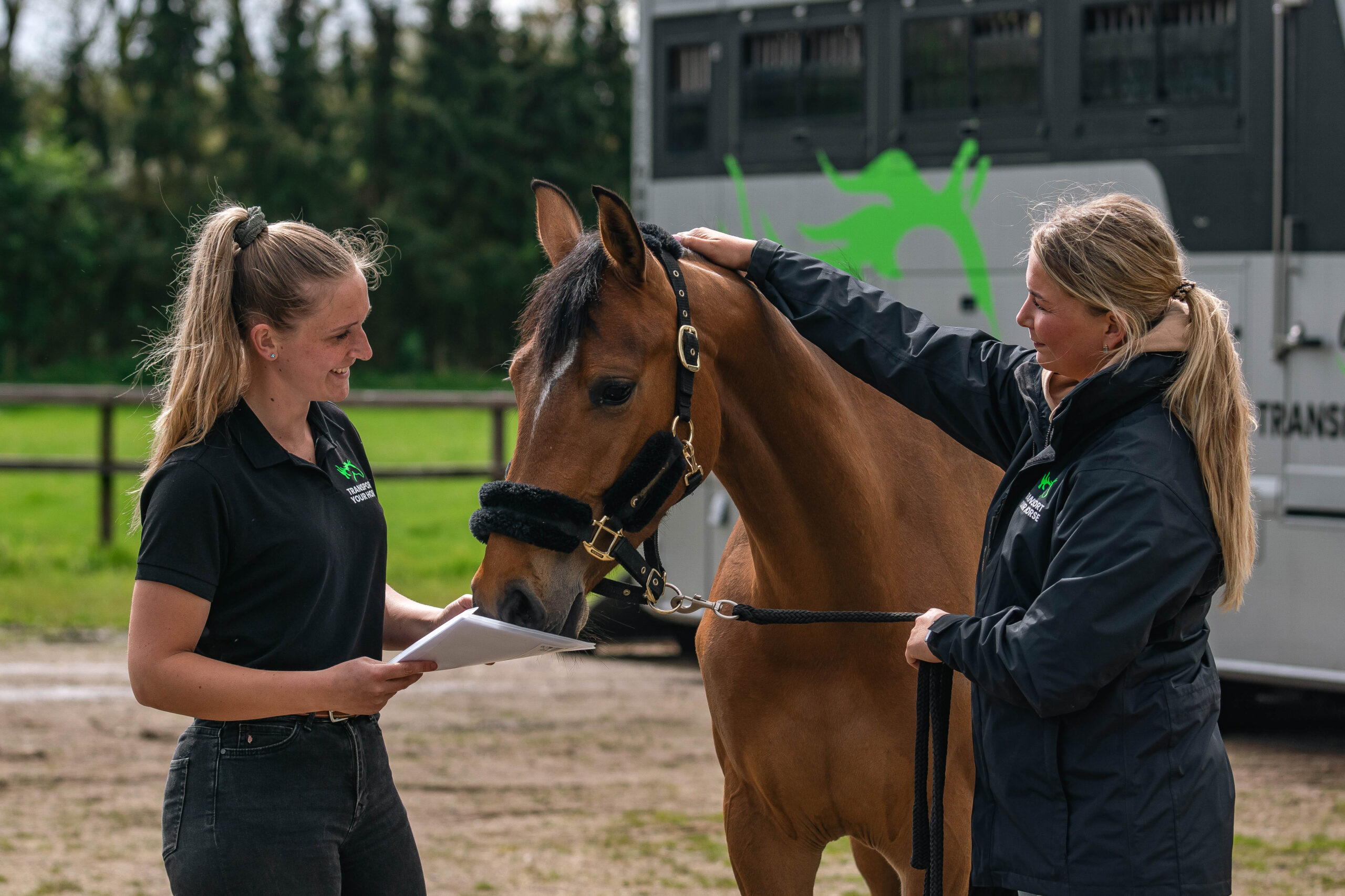 Paardentransport in Europa met zorg. Het welzijn van uw paard staat voorop