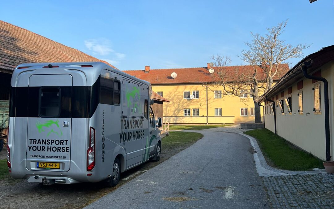 Pony’s FEI meting in Transport Oostenrijk